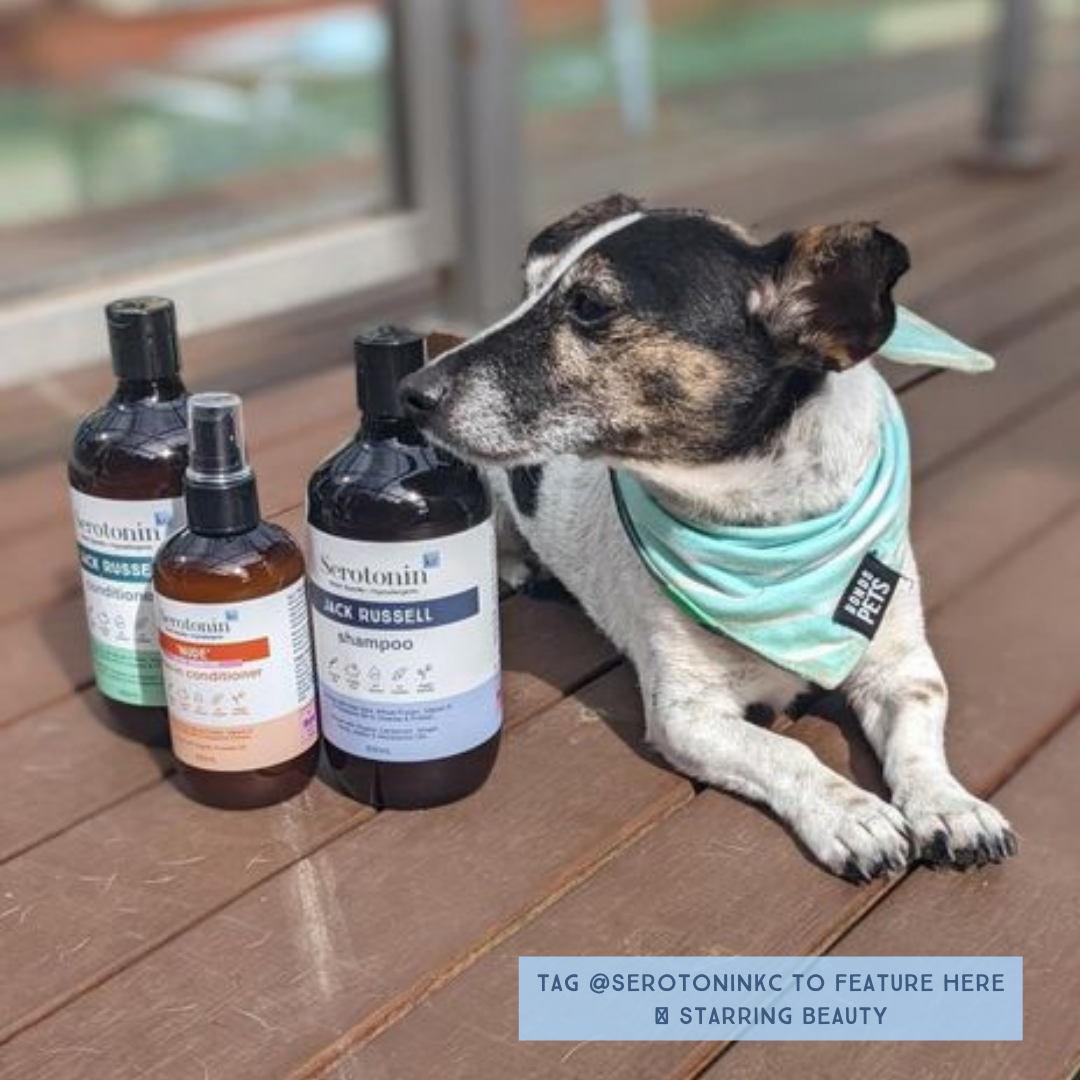 Serotoninkc Breed Specific Jack Russell Best Dog Shampoo Conditioner