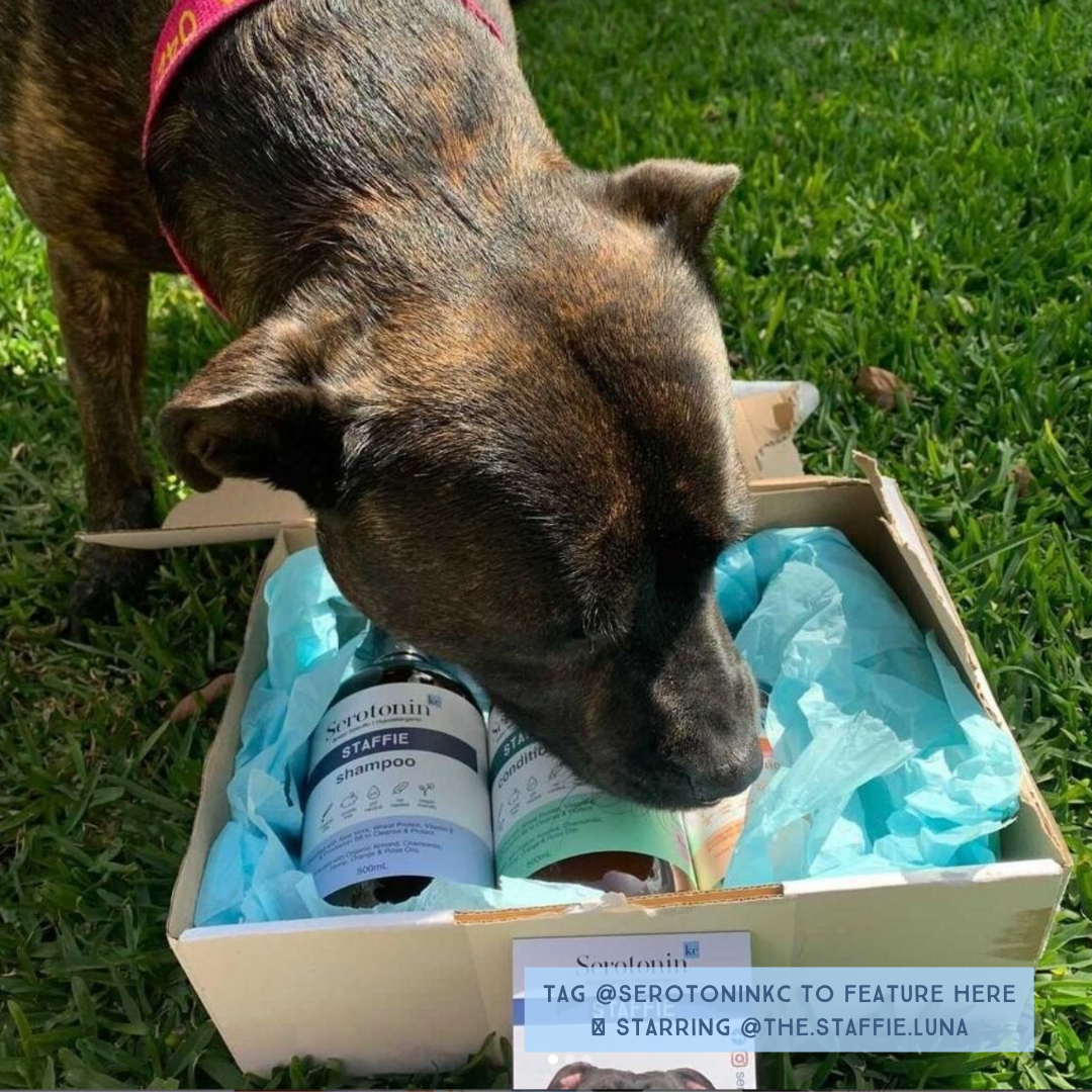 Serotoninkc Breed Specific Staffordshire Bull Terrier (Staffie) Best Dog Shampoo Conditioner