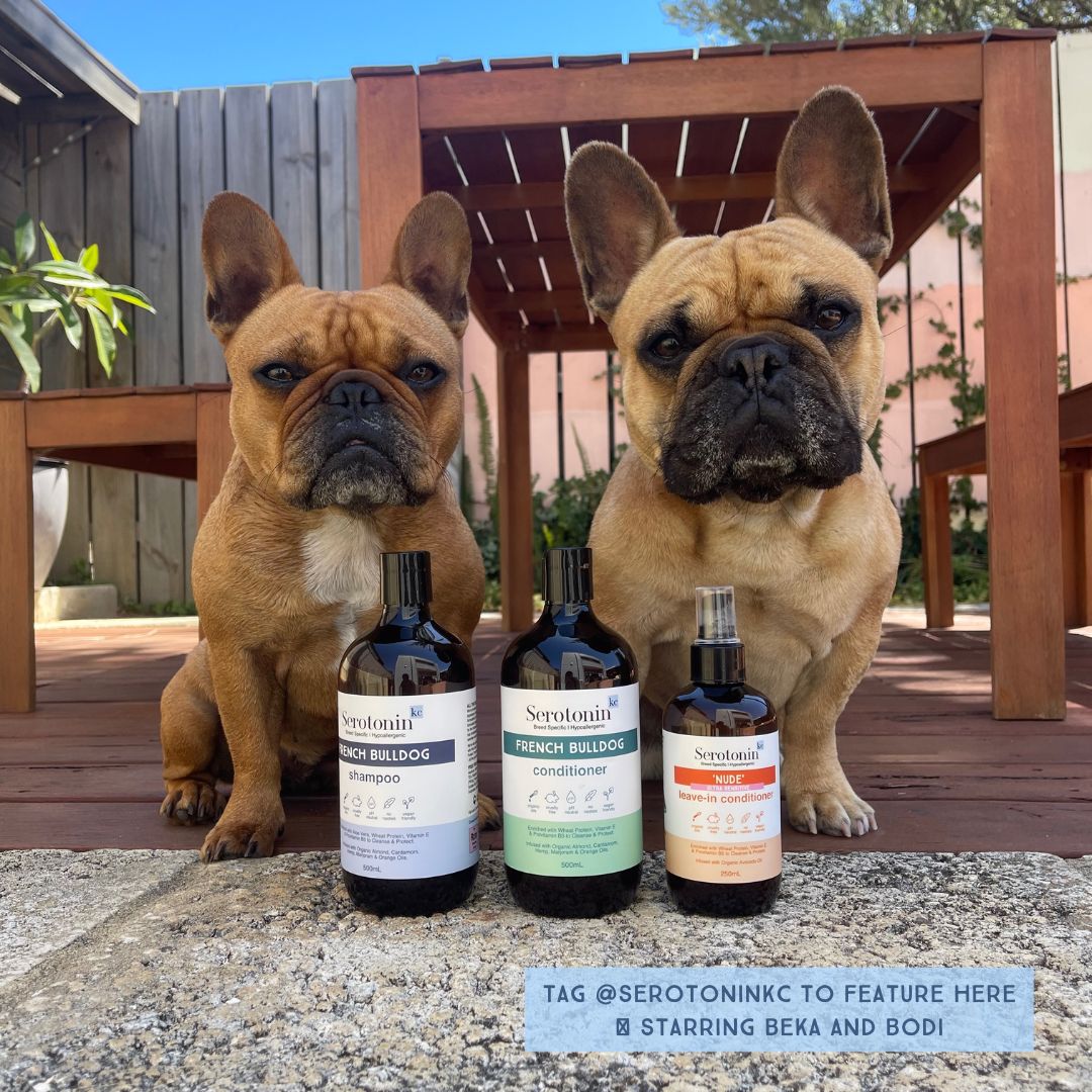 Serotoninkc Hypoallergenic French Bulldog Shampoo SerotoninKC